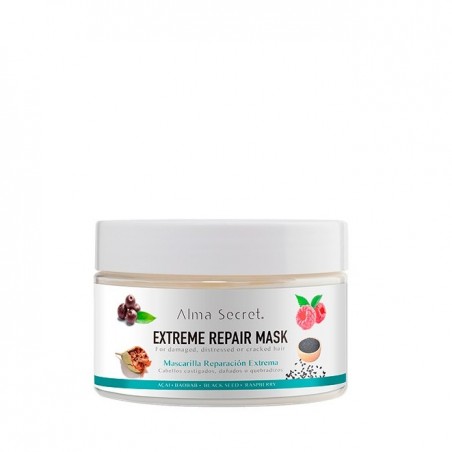 Extreme Repair Mask (Reparadora) 250ml - Alma Secret