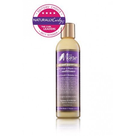 The Mane Choice Ancient Egyptian Anti-Breakage & Repair Antidote Conditioner