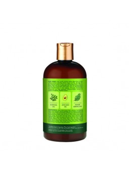 Champú Moringa & Avocado Power Greens - Shea Moisture