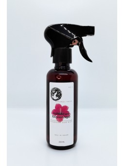 Hibiscus Beverage - Ayurvedic Hair Mist 250ml - Rapunzel Coils